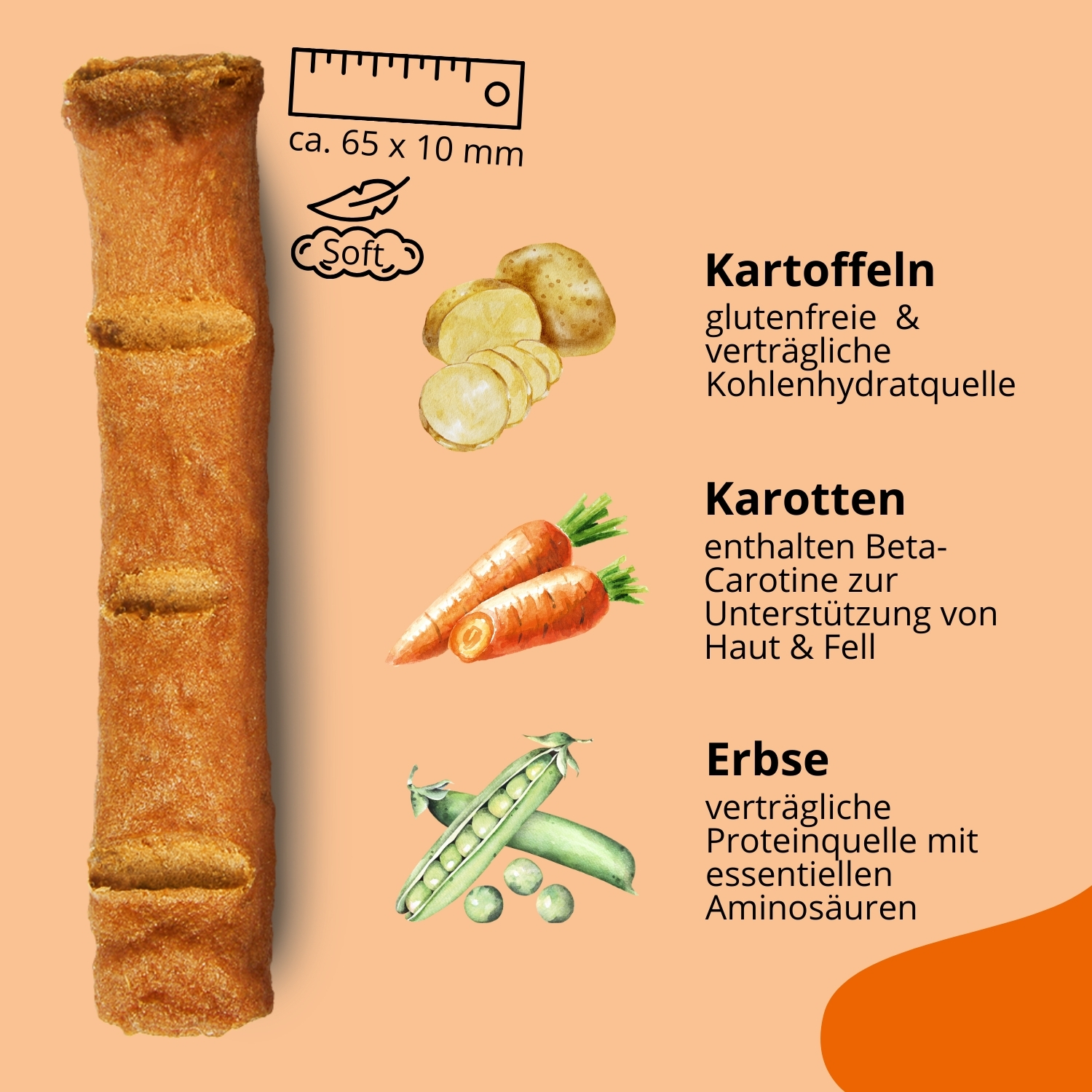 Knabbersticks Karotte Orange