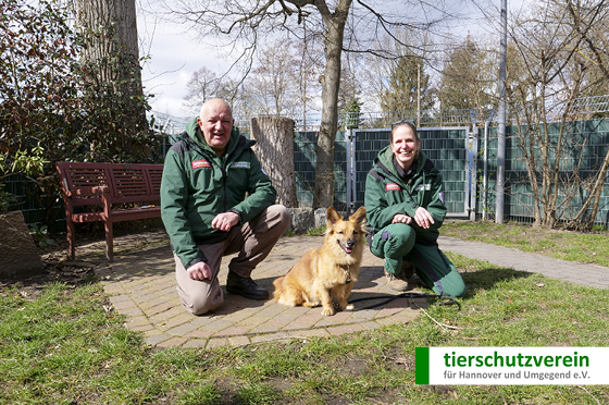 Mann und Frau mit Hund in der Mitte