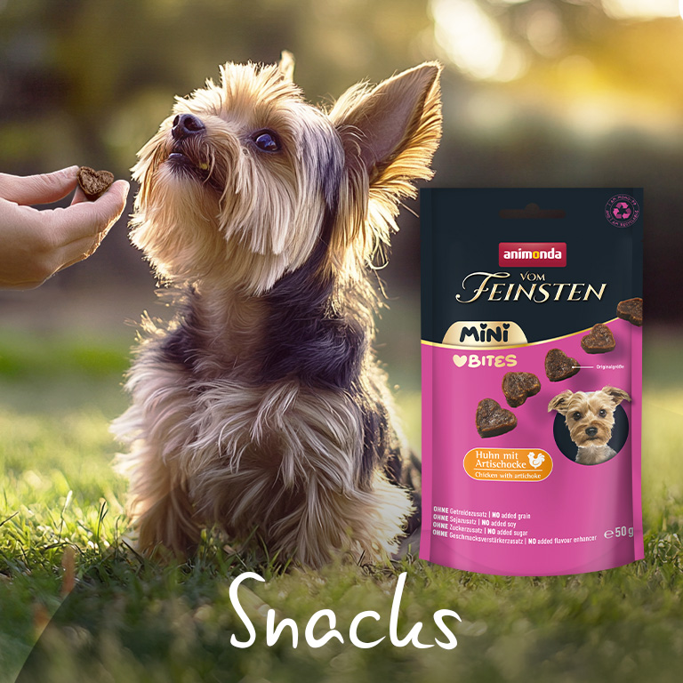 Vom Feinsten Mini Snacks Vom Feinsten Mini Snacks