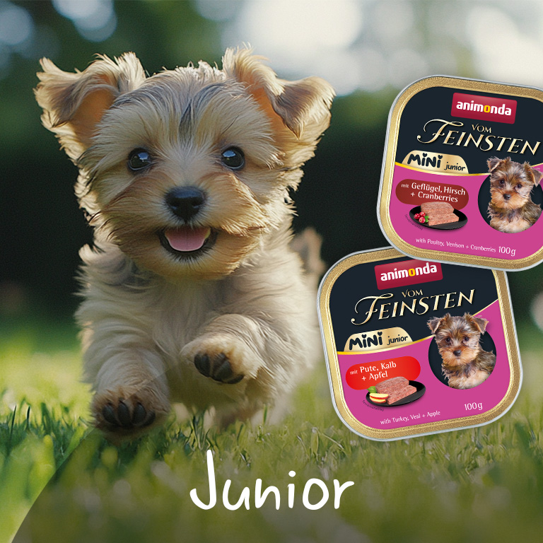 Vom Feinsten Mini Junior Vom Feinsten Mini Junior