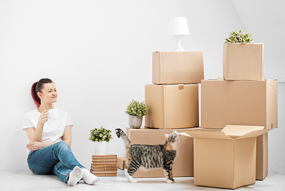 Frau und Katze mit Kartons