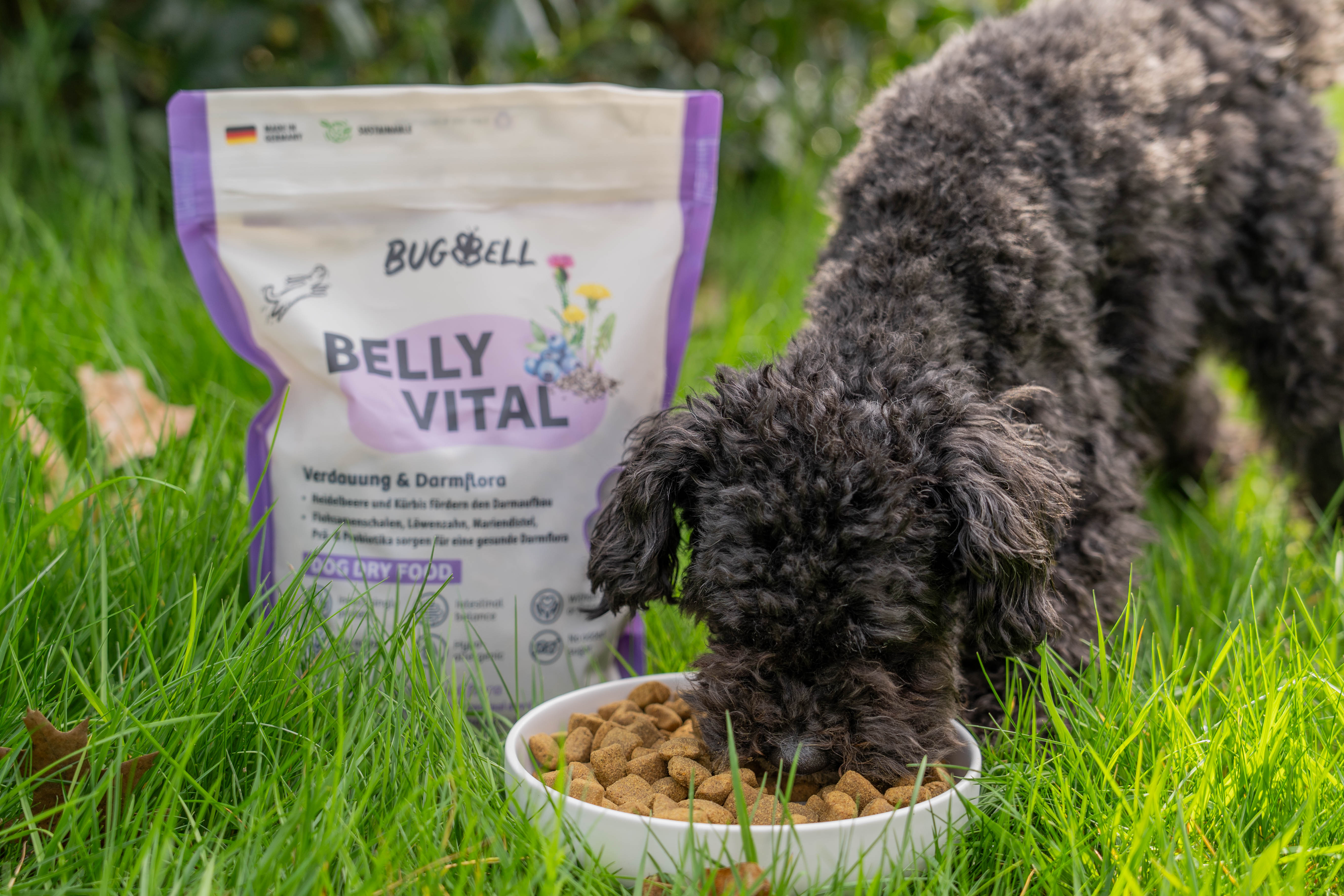 BugBell Belly Vital Hund frisst aus Schale
