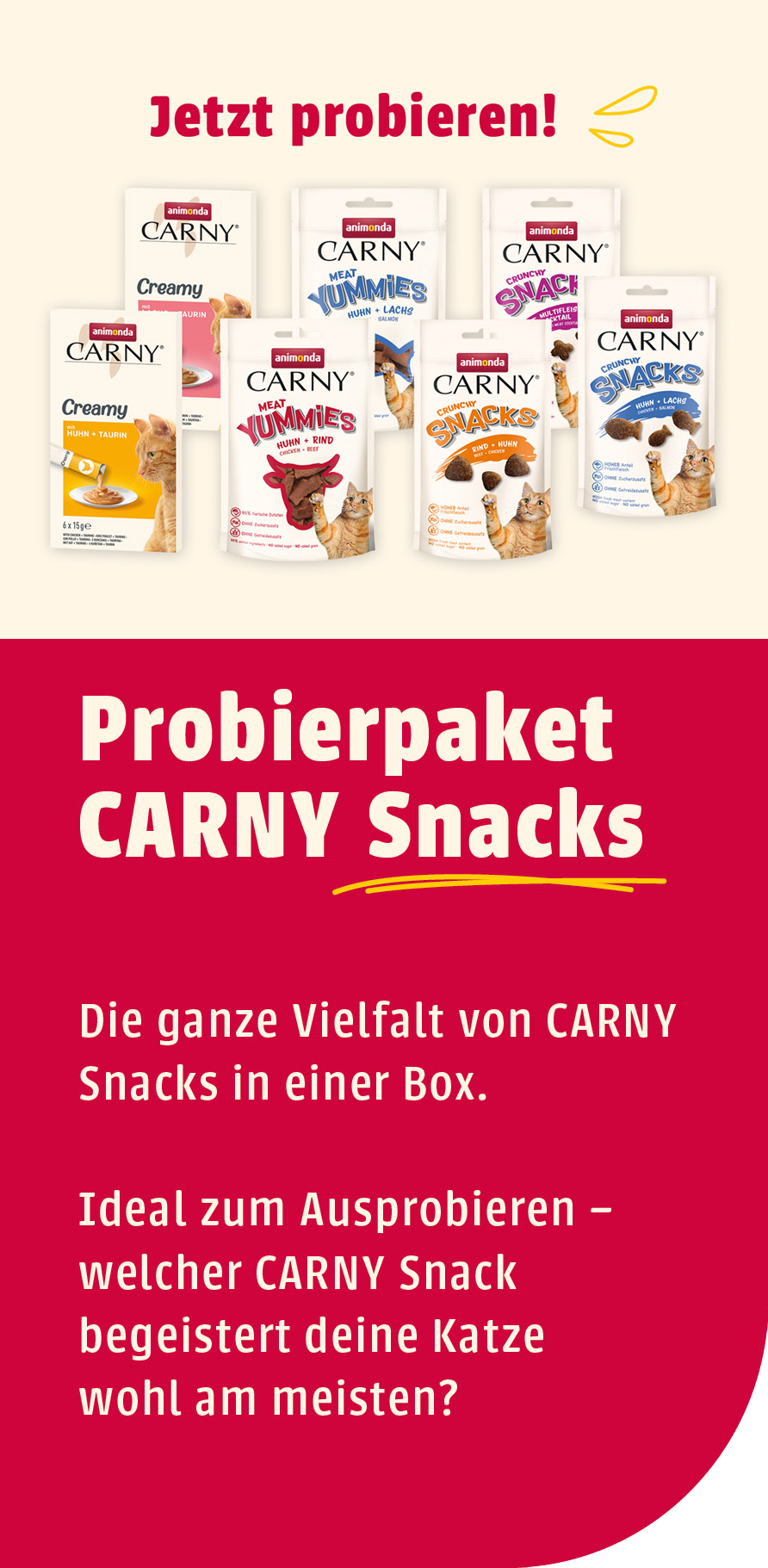 CARNY Snacks Probierpaket