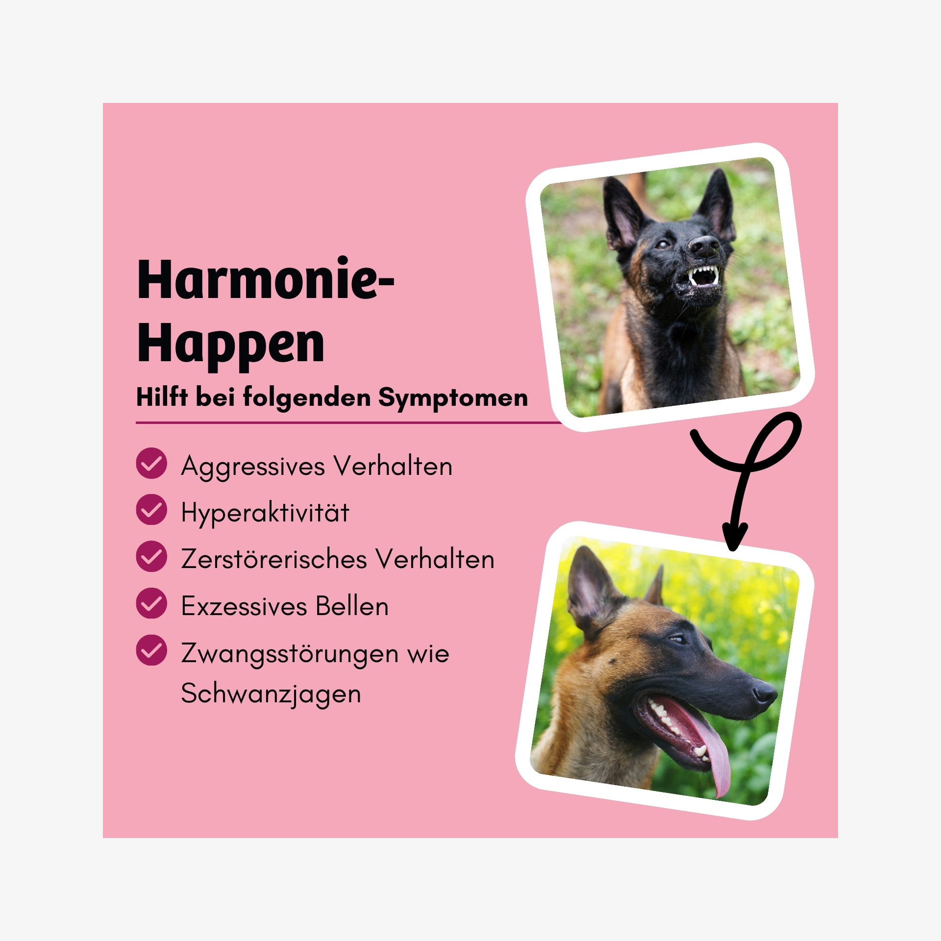 03 Vorteile Happy 03 Vorteile Happy