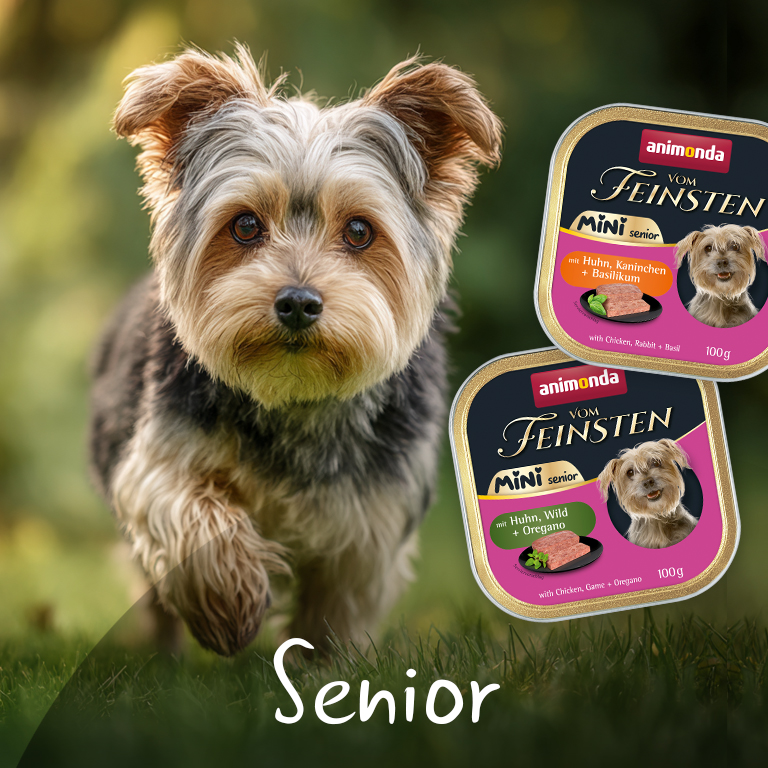 Vom Feinsten Mini Senior Vom Feinsten Mini Senior