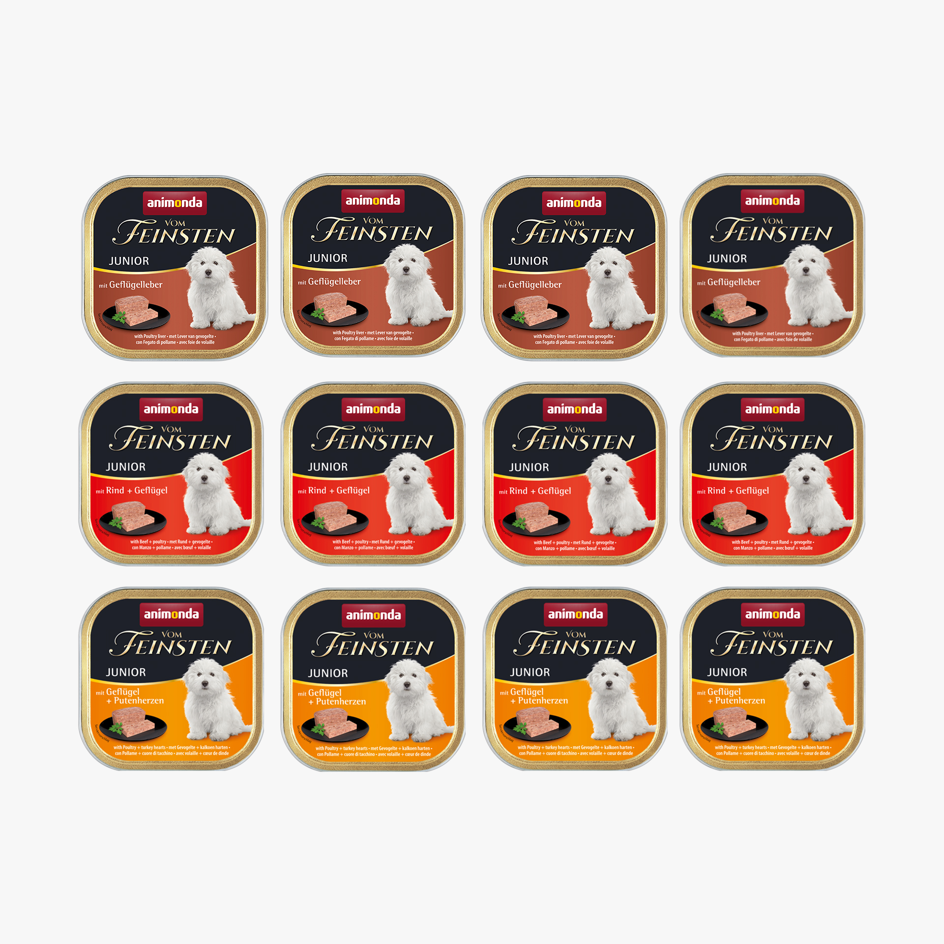 86549 animonda Vom Feinsten Junior Probierpaket Vom Feinsten Junior Hund Hund Nassfutter 86549 animonda Vom Feinsten Junior Probierpaket Vom Feinsten Junior Hund Hund Nassfutter