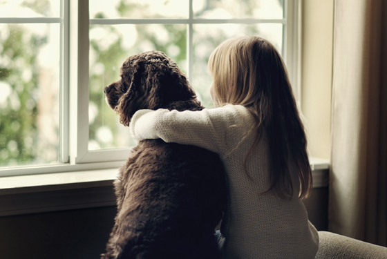 Hund und Mädchen am Fenster