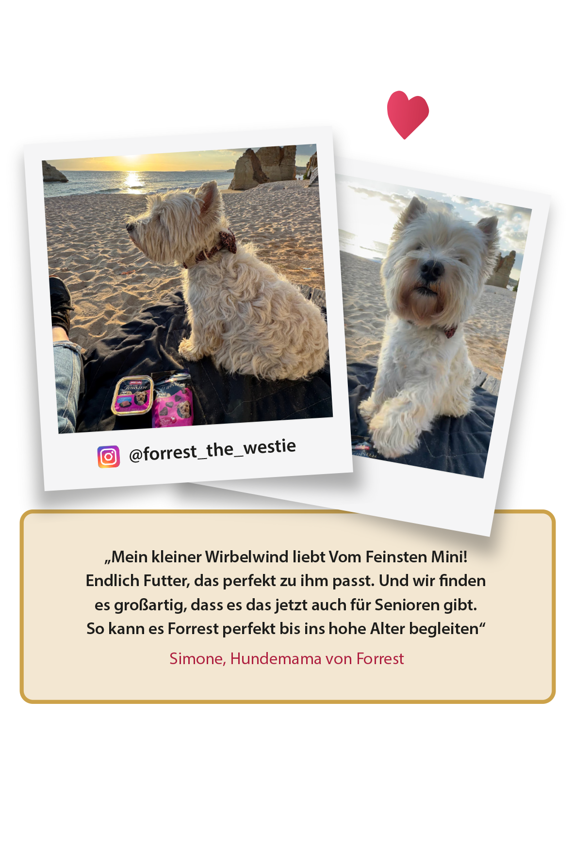 Vom Feinsten Mini Produktrezension von Simone mit Hund Forrest Vom Feinsten Mini Produktrezension von Simone mit Hund Forrest