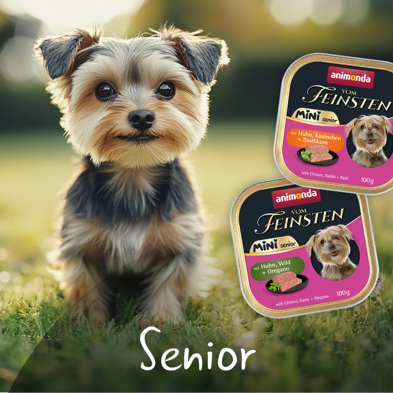 Vom Feinsten Mini Senior Vom Feinsten Mini Senior