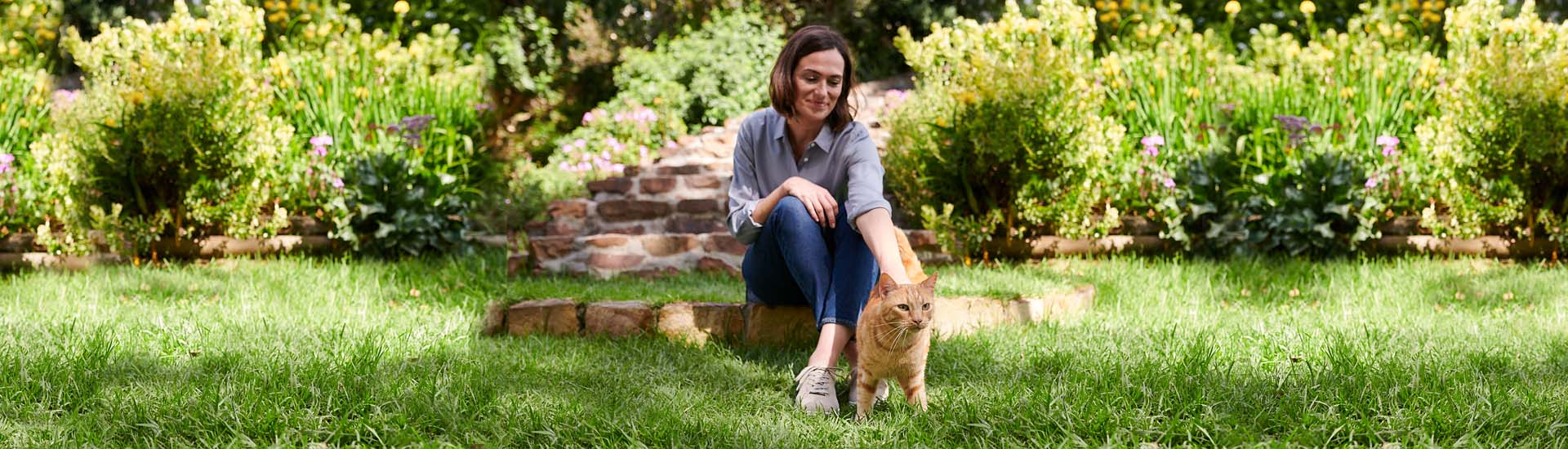 Frau mit Katze auf einer Wiese Frau mit Katze auf einer Wiese
